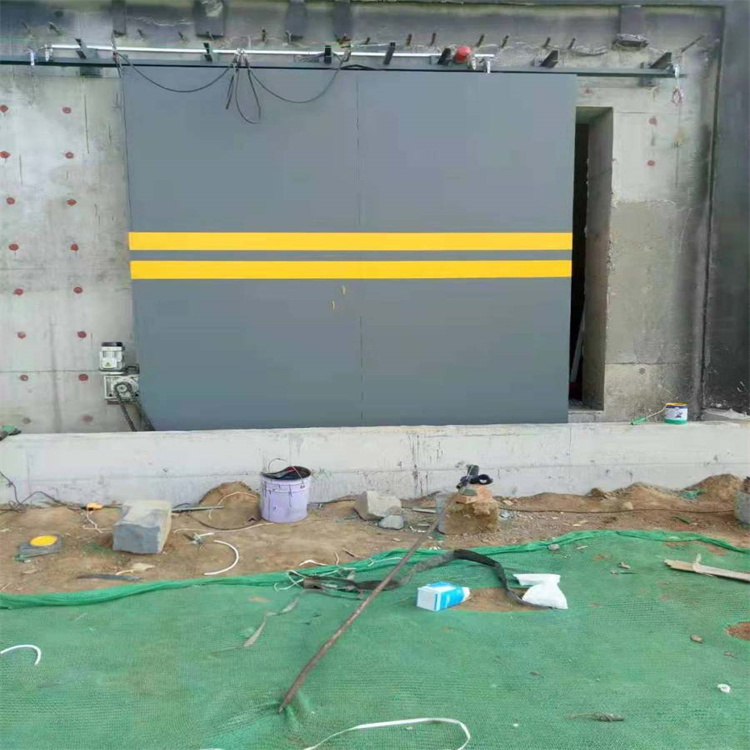 抚州济南探伤铅门